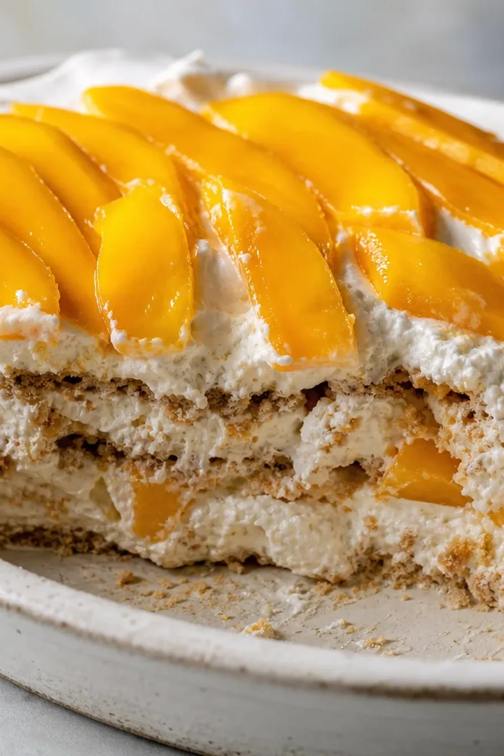 Layers of creamy mango float with graham crackers, garnished with mango slices.