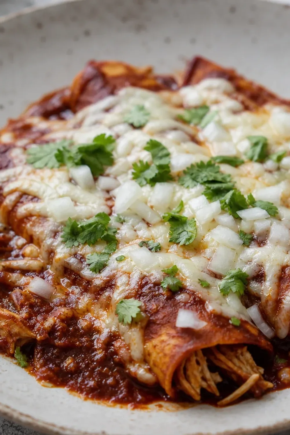 Plated Mexican chicken enchiladas garnished with cheese and cilantro, showcasing vibrant red sauce and soft tortillas.